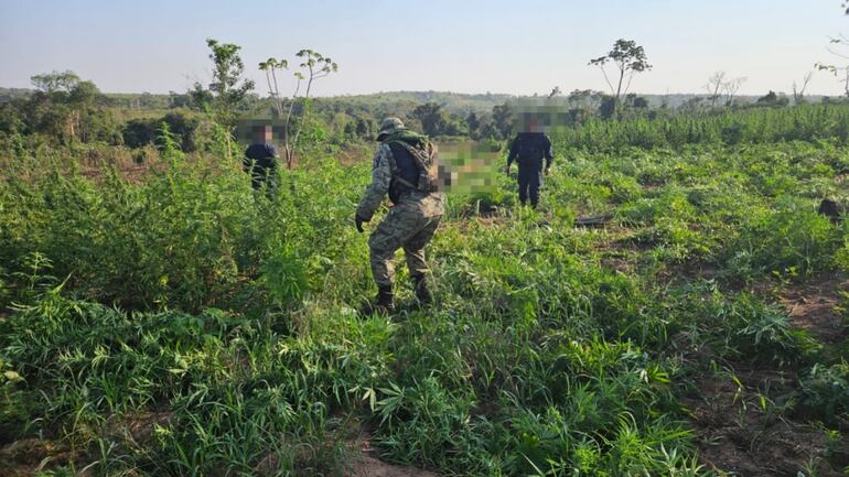 Realizan operativo “Jeporeka” en la  Reserva Natural del Mbaracayú.