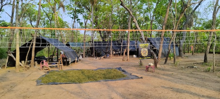 Los cultivadores tenían hasta una cancha de voley cerca de los campamentos narcos.