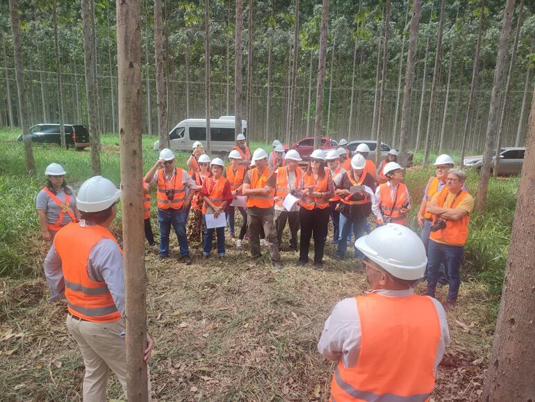 Gumercindo Irala, gerente de la empresa Pomera explica a los periodistas que la compañía destina unos 200.000 dólares anuales a investigación en investigación forestal. La compañía produce madera de pino y eucaliptos para la industria de la provincia y del país.