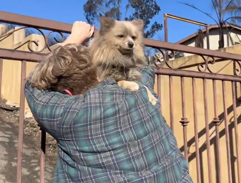 El emotivo reencuentro entre un hombre y su perro tras los incendios forestales en Los Ángeles.