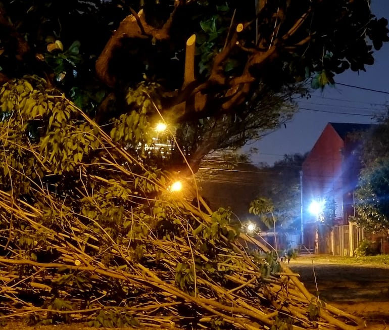 Vecinos denunciaron que funcionarios de la ANDE podaron árboles y los dejaron de manera peligrosa en la ciudad de Luque, zona Confederación Sudamericana de Fútbol.