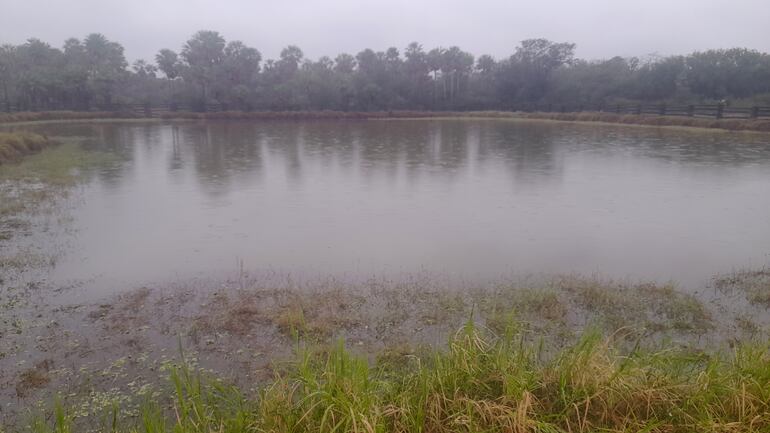 A diferencia de años anteriores, así se encuentran los tajamares y reservorios en el Alto Paraguay.