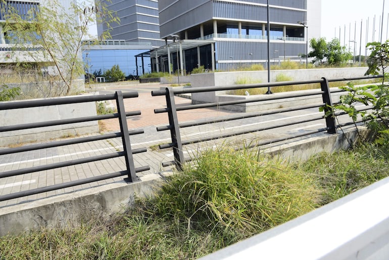 Los yuyos se van apoderando de las oficinas de Gobierno, pero la ANNP está priorizando un  negocio con el estacionamiento de las torres.