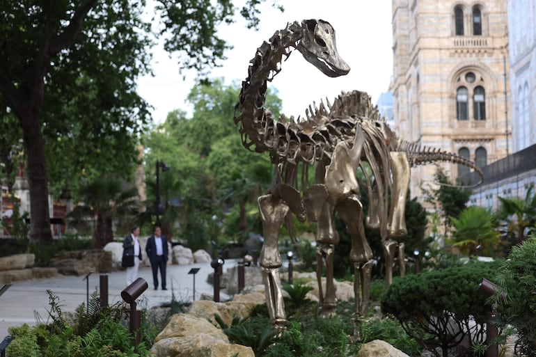 'Fern', una estatua de bronce de Diplodocus, se encuentra en los jardines renovados del Museo de Historia Natural de Londres, Gran Bretaña.