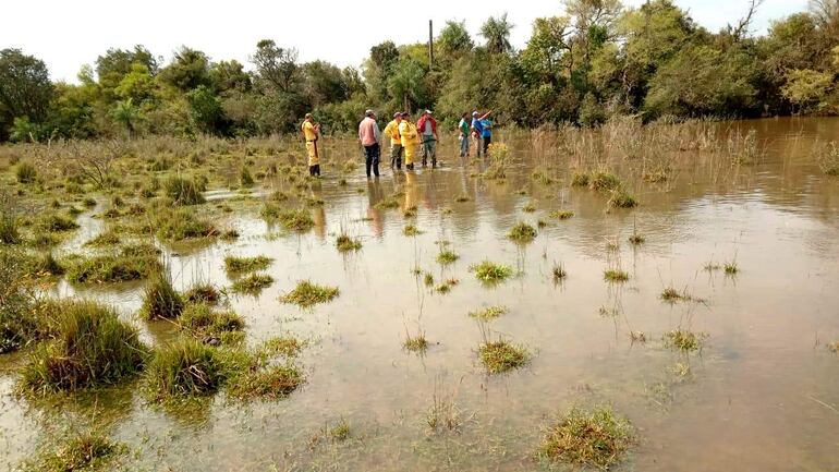 Intensifican búsqueda del cuerpo del menor en un arroyo en Caapucú.