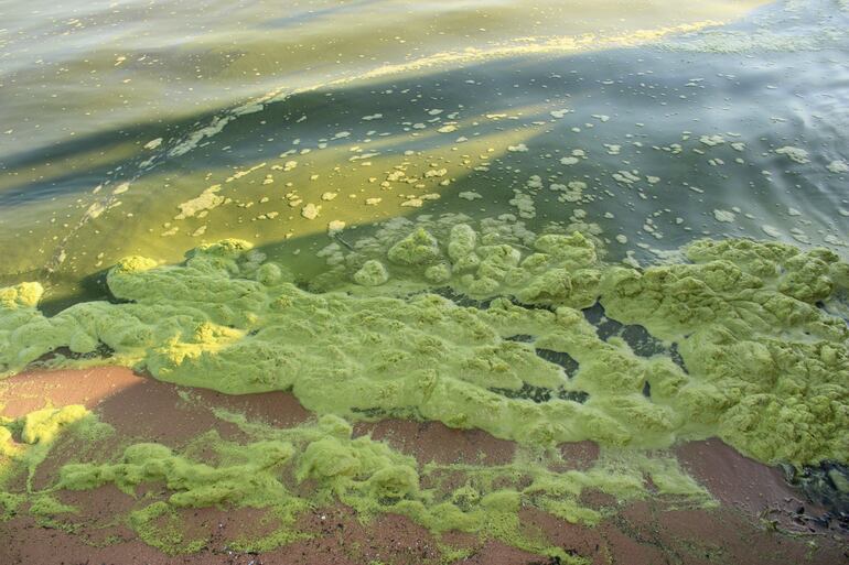 Así se ven las aguas del Lago Ypacaraí.