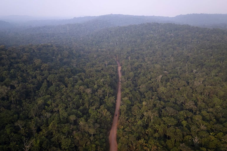 Parque Nacional Amazonia el 9 de noviembre de 2024 en la ciudad de Itaituba a orillas de la carretera transamazónica en el estado de Pará (Brasil). 