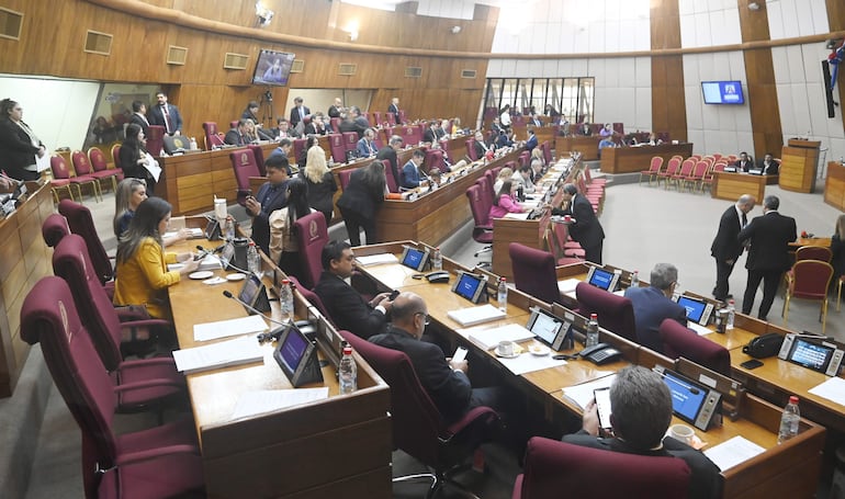 Diversidad de posturas en Diputados sobre presunto plan cartista de promover la reelección.