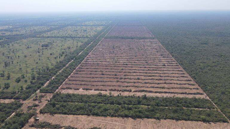 La presidenta del Infona asegura que el proyecto de ley de créditos de carbono puede beneficiar sin comprometer la producción.