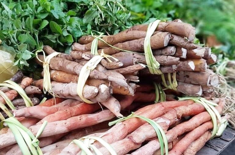 Las hierbas naturales son un componente vital a la hora de disfrutar el tereré.