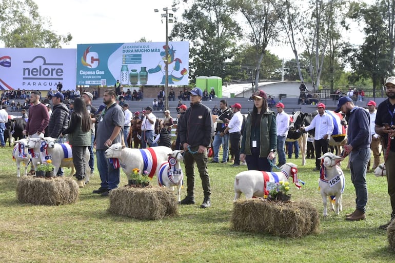 La Expo 2023 quedó oficialmente inaugurada este sábado 15 de julio.