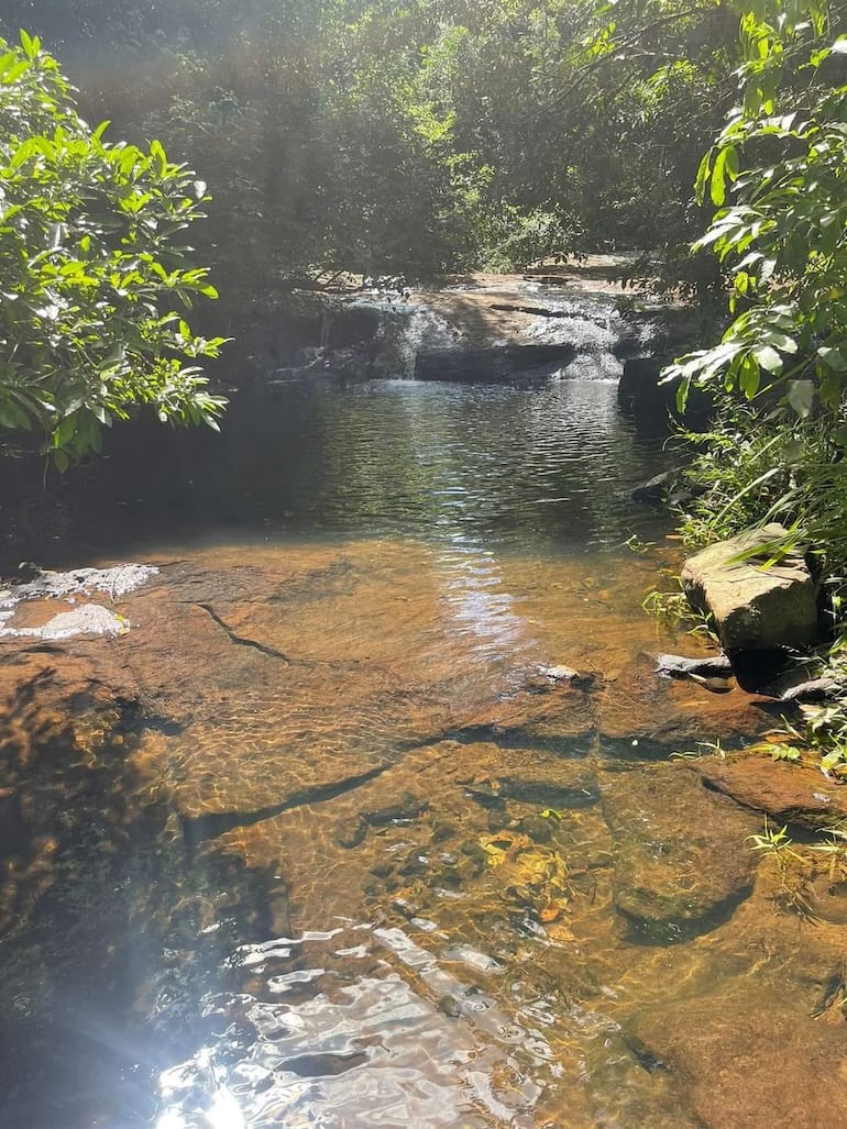 Cristalinas aguas rodeadas de abundante vegetación.