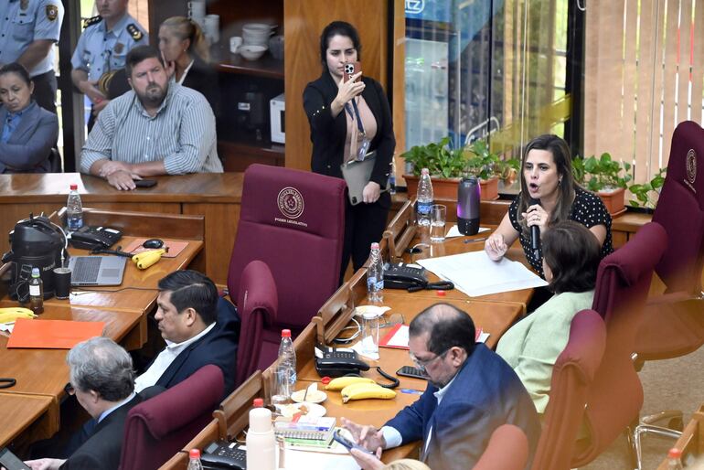 Sesion ordinaria de la Camara de Senadores en la que se procedió a la pérdida de investidura de Kattya González.