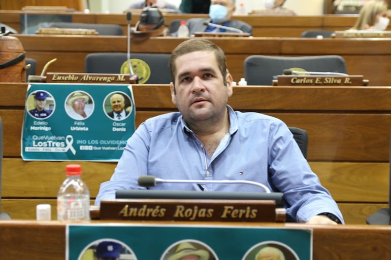 diputado andrés rojas feris