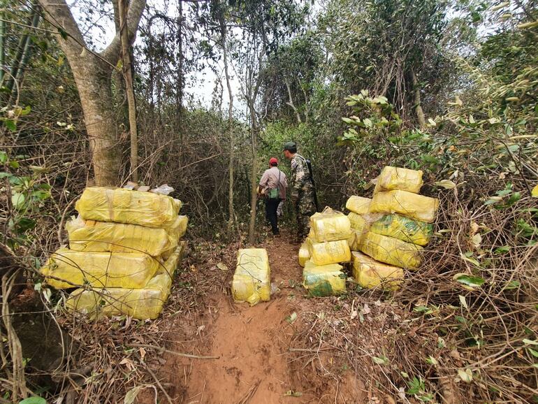 La droga estaba oculta con ramas a un costado del Paraná.