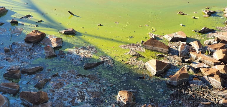 El agua permanece estancada debido a la sequía. 