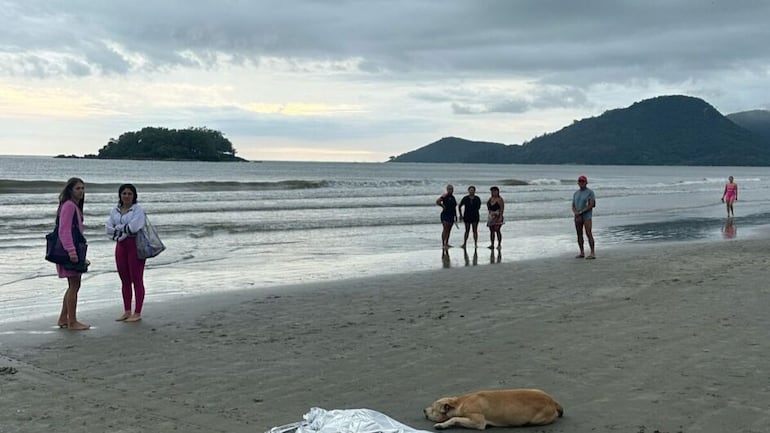 Un perro pasó horas acostado al lado del cuerpo de su dueño, que falleció ahogado en Camboriú.