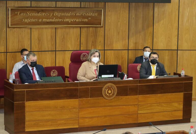 El ministro de Agricultura, Moisés Bertoni (i) junto a la presidenta de la Comisión Permanente del Congreso, senadora Lilian Samaniego (c).