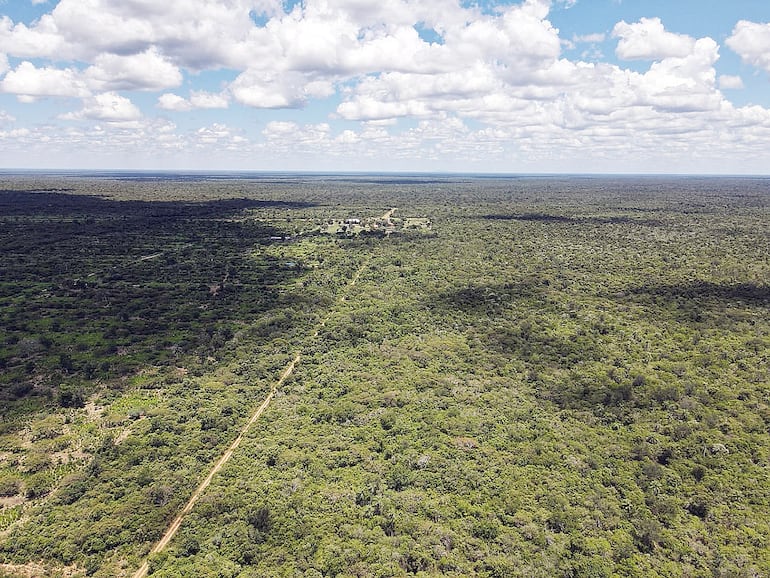 Vista aérea de un sector de la estancia El Tigre, que ahora se comprobó 
que todavía pertenece al Estado.