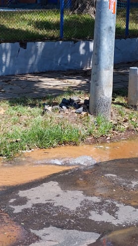 Agua potable que sale a borbotones en plena calle