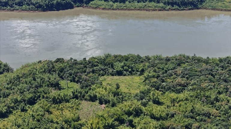 La parcela de marihuana está ubicada a metros del río Paraná, en la frontera con Argentina.