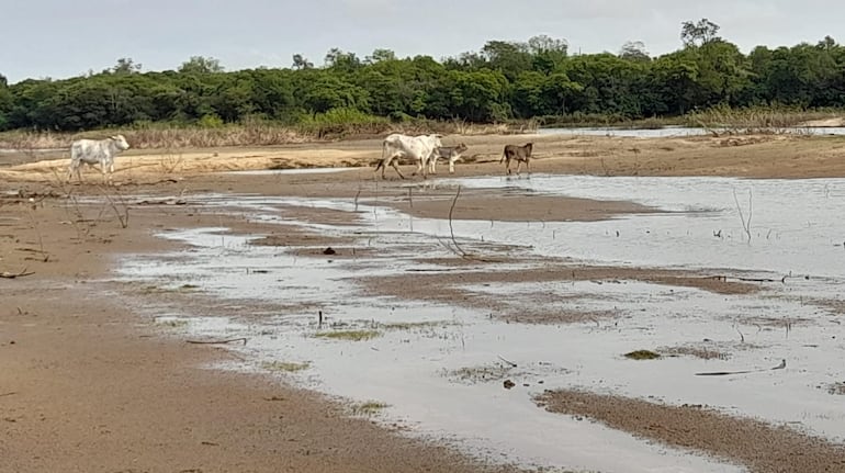 La sequía en Ñeembucú afecta a varios productores de la zona.