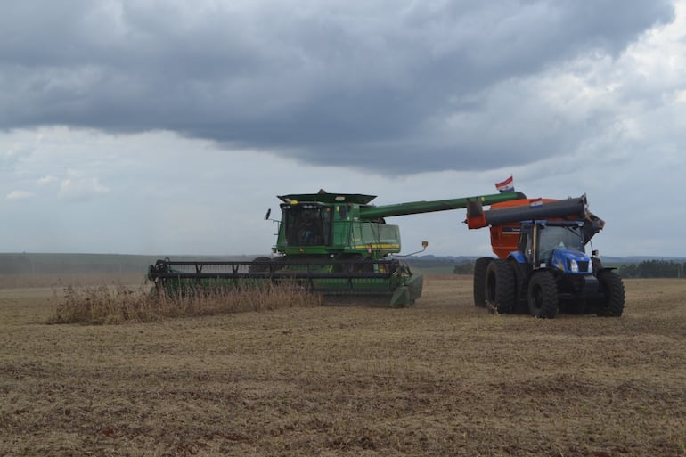 Cosecha de soja de la zafra 2022/ 2023, imagen de mediados de este febrero, en la zona de Cedrales, Alto Paraná, con cerca de 4.000 kg./Ha.