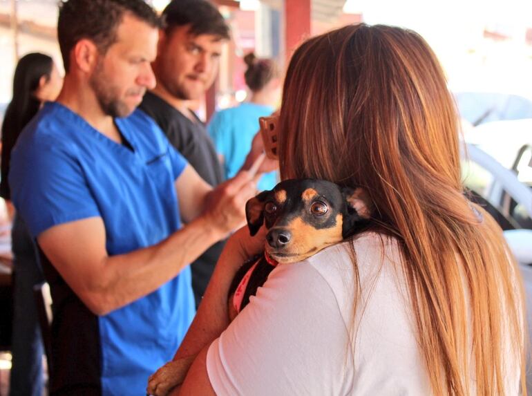 La salud de los perritos es una responsabilidad que asume el dueño y se los debe inmunizar así como se hace con los niños pequeños.