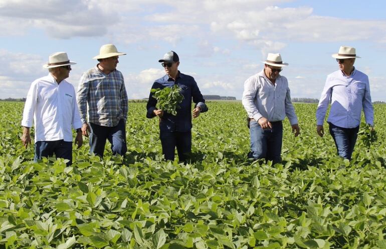 La agricultura es la actividad más importante en la economía y el mayor aporte a la riqueza del Paraguay.