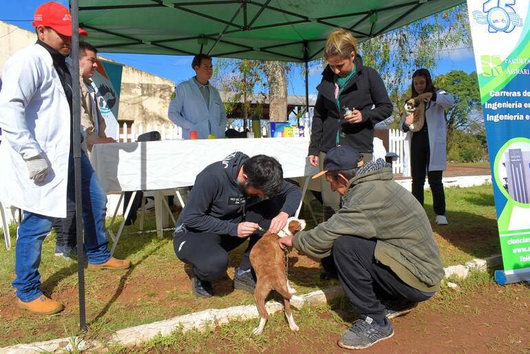 Atención médica gratuita para mascotas en la campaña social "Muni en tu barrio" en Villarrica.