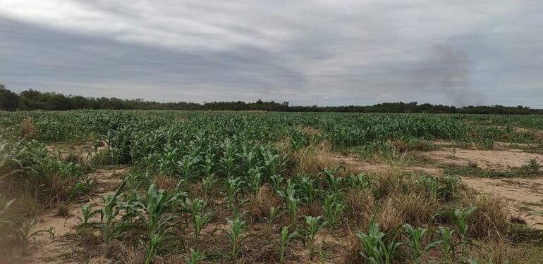 Altas precipitaciones se darían en los próximos meses en gran parte del territorio nacional, advierte el Mades.