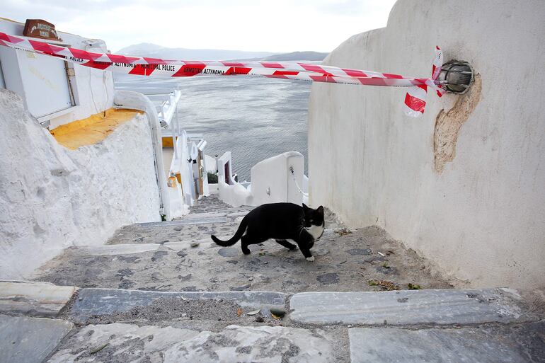 Un gato cruza un cordón policial en el pueblo de Oia, en la isla de Santorini, Grecia, 05 de febrero de 2025. Esta semana, se registraron terremotos que siguen este jueves