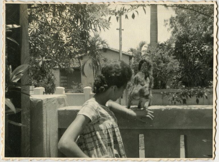 Las fotografías con gatos son más escasas que con los perros. Aquí una joven jugando con su mascota, c. 1955. Colección Imagoteca de Milda Rivarola.