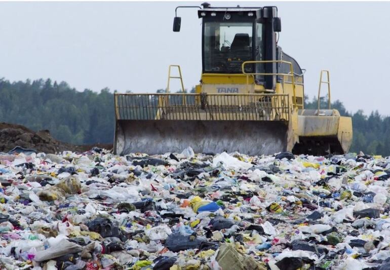 ¿Pueden los microbios reciclar los plásticos?