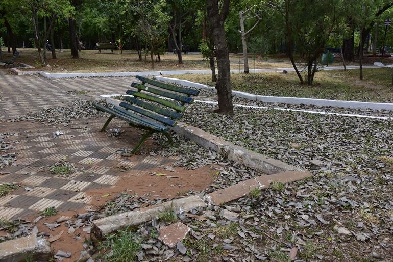 El parque Carlos A. López fue el escenario de un violento asalto durante la noche de ayer y, una joven resultó herida por arma de fuego.