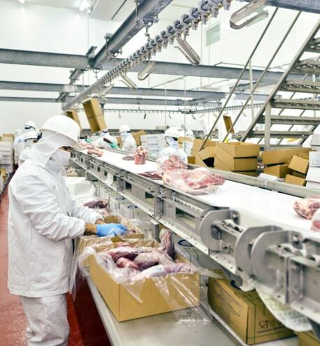 Solo la carne vacuna se exportó en enero último un total de 26.391.656 kg, al menos a 32 países. Ingresó divisas al país por US$ 148.368.000.