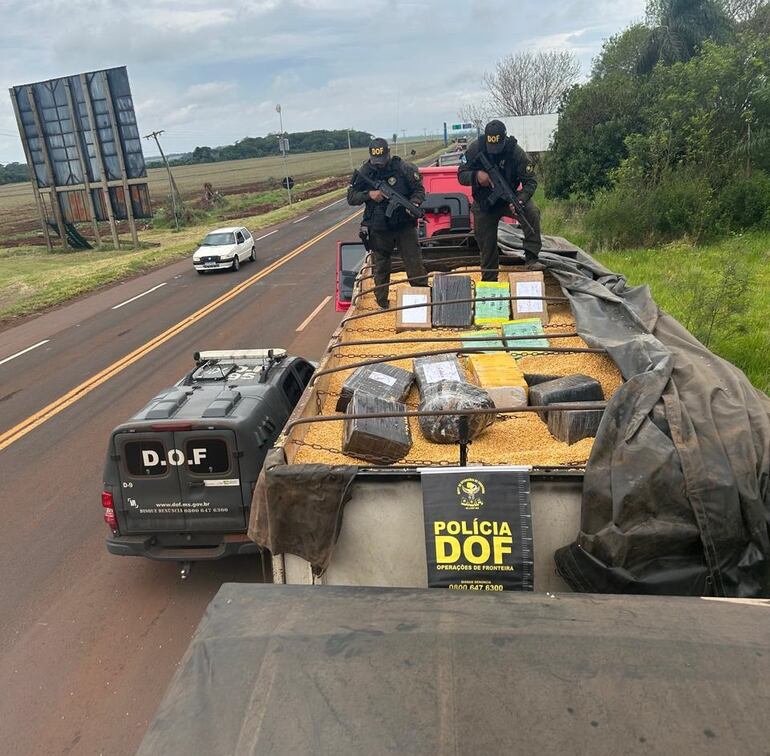 Los fardos de marihuana prensada estaban ocultos entre la carga de maíz.