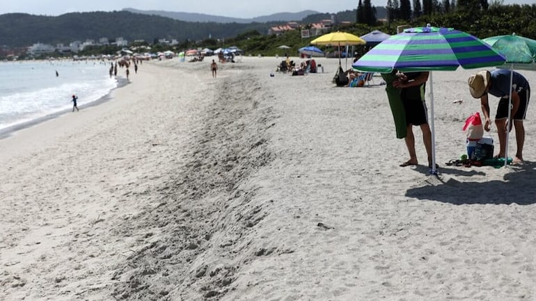 Así luce la playa Jureré de Florianópolis. Foto: Gentileza, NSC Total de Brasil.