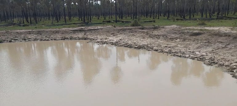 Así se encuentran la mayoría de los tajamares de las estancias, con escasa reserva de agua.