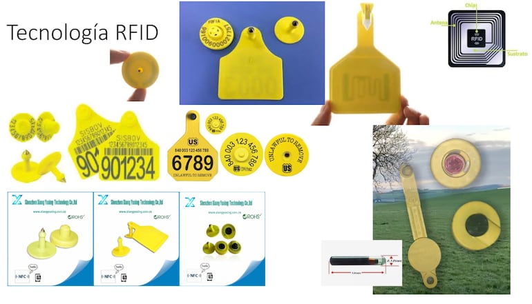 Uno de los tipos de dispositivos para la identifación animal que se anilizó en el foro realizado en la Rural.