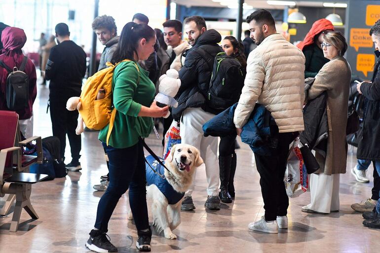 Vesna Kiskovska, la entrenadora de Dino, un golden retriever, pasa junto a los pasajeros en el Aeropuerto Internacional de Skopie.