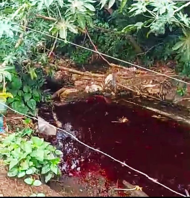 Fiscalizadores del Mades intervinieron matadero de animales equinos que realizaba descargas de sangre al arroyo Capilla de Carapeguá.