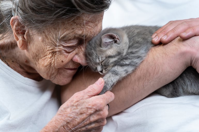 Terapia con gatos.