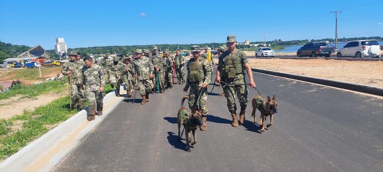 Canes de las Fuerzas Armadas se suman a la búsqueda en tierra del militar desaparecido.