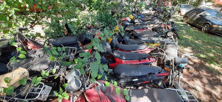 Las motocicletas depositados en el Corralón Municipal de Ciudad del Este están inservibles por lo que serán destruidos.