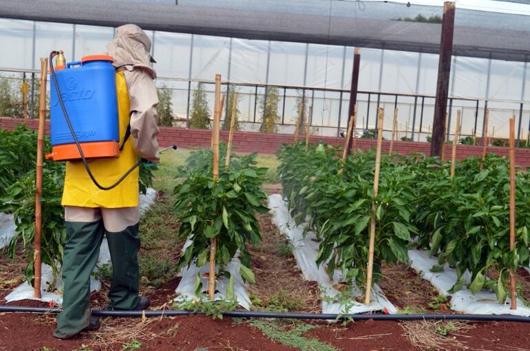 Seguir capacitando a productores es el objetivo de la Cámara.