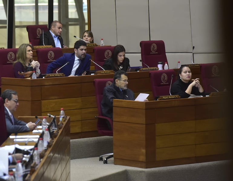 La Cámara de Diputados pide informes sobre el acuerdo firmado con el Brasil sobre la nueva tarifa de Itaipú. 
Hoy 22 de Mayo de 2024
Gustavo Machado