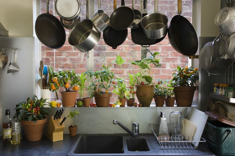 Cocina con plantas.