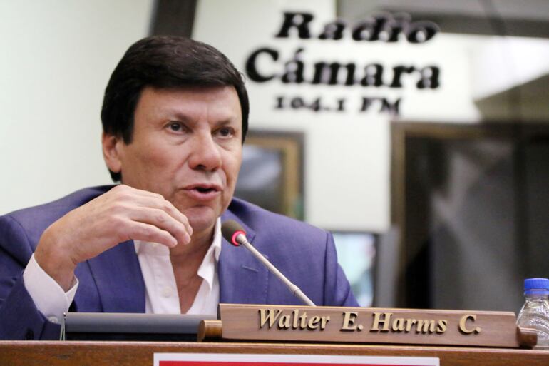 Diputado Walter Harms (ANR).