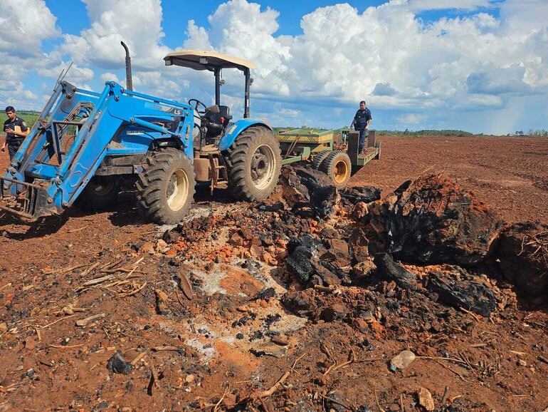 En la propiedad allanada, las autoridades hallaron evidencia dejada por la quema de restos forestales, incluyendo cenizas y troncos parcialmente calcinados